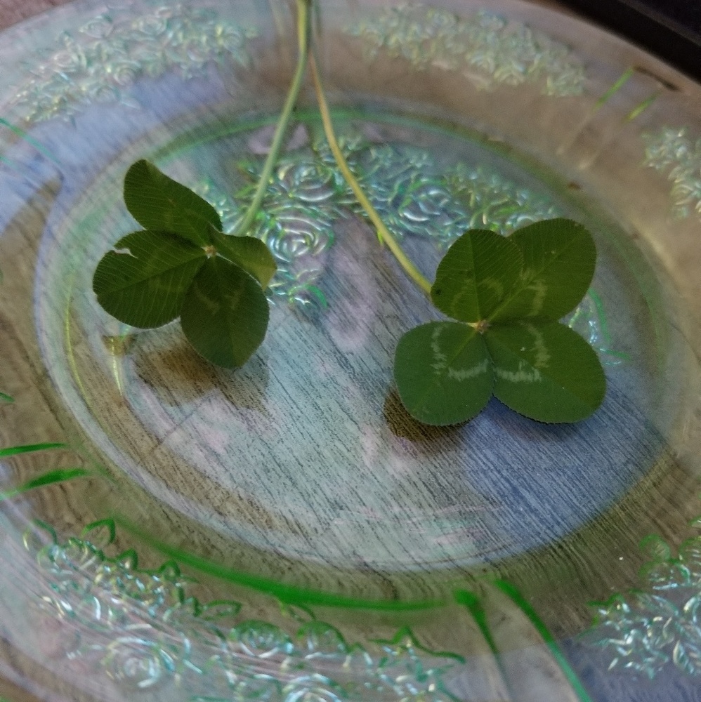 Meet your Posher, Debra